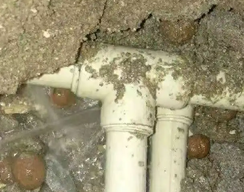 港口测漏水多少钱