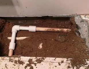 港口测漏水哪家好