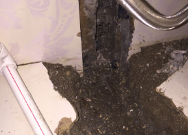 港口卫生间测漏水哪家好