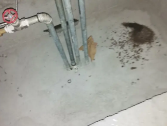 港口卫生间测漏水价格明细