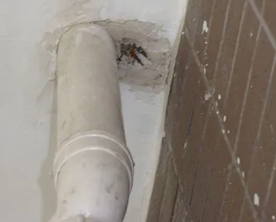 港口漏水检测哪家好